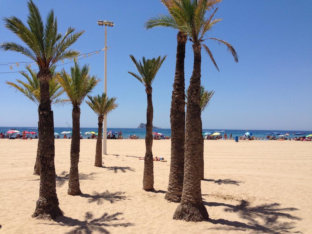 Apartament Santa Margarita - Arca Rent